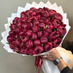 Букет из 51 бордового пиона