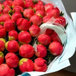 Букет из 51 кораллового пиона
