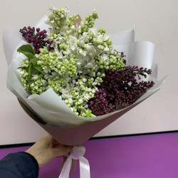 Букет из белой и фиолетовой сирени